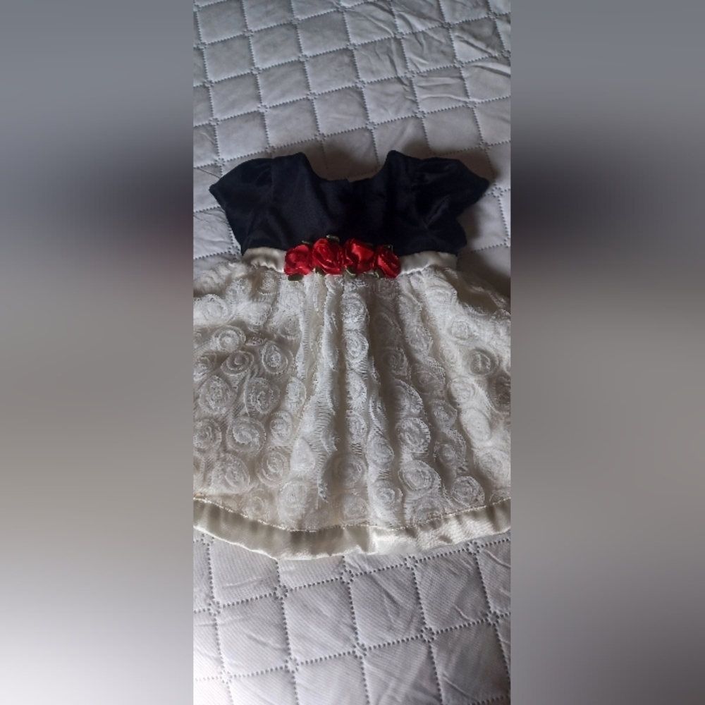 Vintage Jenny & Me 6-9 Month Infant Dress Black White Roses Red Roses Velvet Top